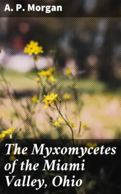 The Myxomycetes of the Miami Valley, Ohio