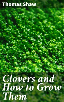 Clovers and How to Grow Them