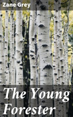 The Young Forester