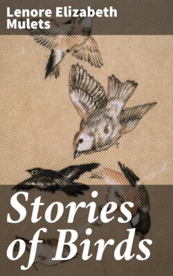 Stories of Birds