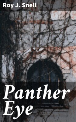 Panther Eye