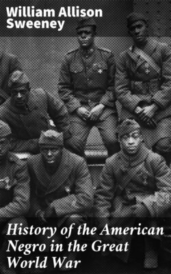 History of the American Negro in the Great World War