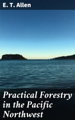 Practical Forestry in the Pacific Northwest