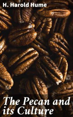 The Pecan and its Culture