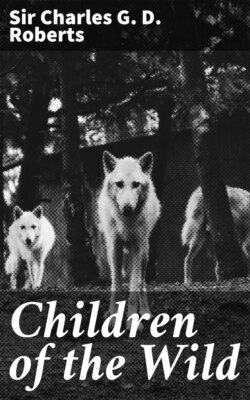 Children of the Wild