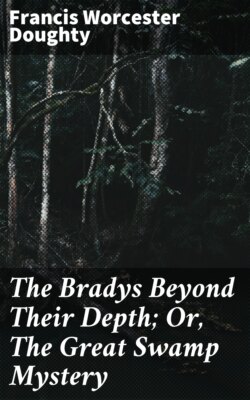 The Bradys Beyond Their Depth; Or, The Great Swamp Mystery