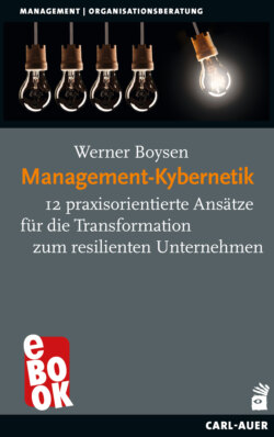 Management-Kybernetik