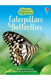 Caterpillars and Butterflies