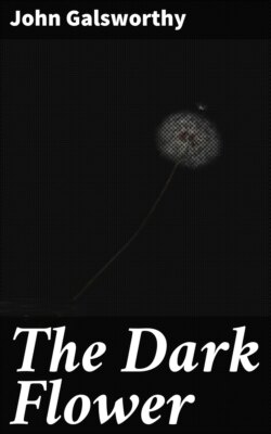 The Dark Flower