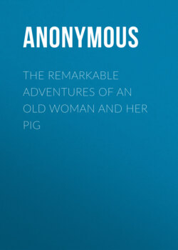 The Remarkable Adventures of an Old Woman and Her Pig