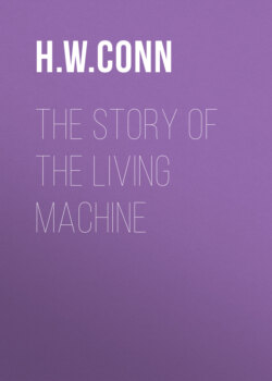 The Story of the Living Machine