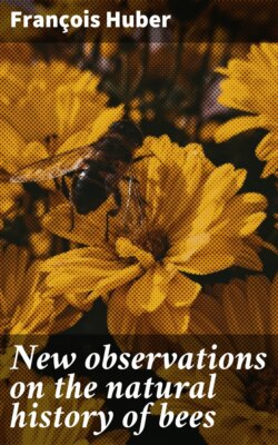 New observations on the natural history of bees