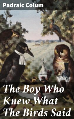 The Boy Who Knew What The Birds Said