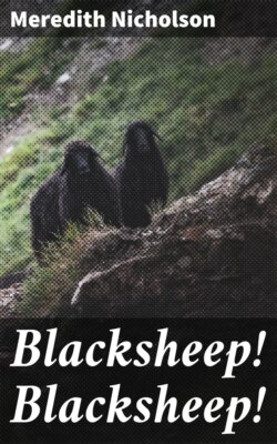 Blacksheep! Blacksheep!