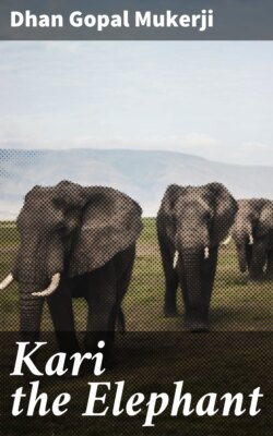 Kari the Elephant