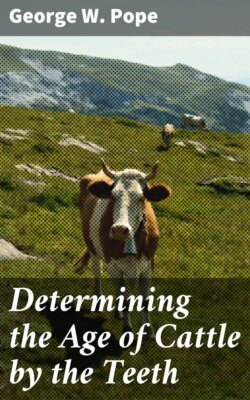 Determining the Age of Cattle by the Teeth