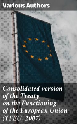 Consolidated version of the Treaty on the Functioning of the European Union (TFEU, 2007)