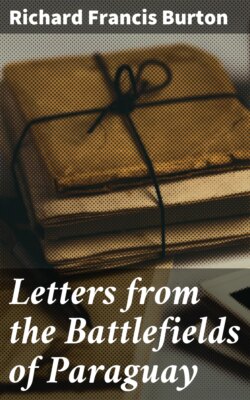 Letters from the Battlefields of Paraguay