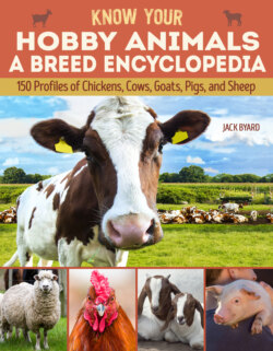 Know Your Hobby Animals a Breed Encyclopedia