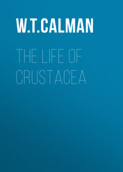 The Life of Crustacea