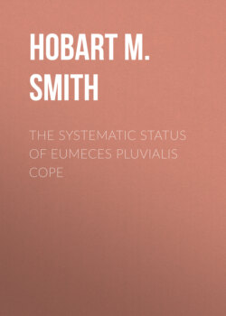 The Systematic Status of Eumeces pluvialis Cope