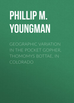 Geographic Variation in the Pocket Gopher, Thomomys bottae, in Colorado