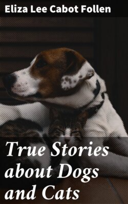 True Stories about Dogs and Cats