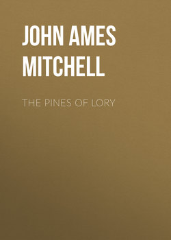 The Pines of Lory