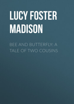 Bee and Butterfly: A Tale of Two Cousins