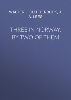 Three in Norway, by Two of Them