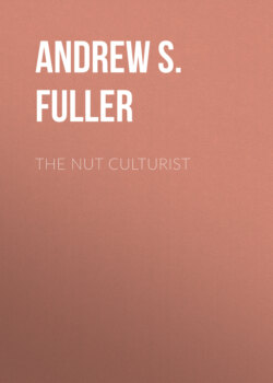 The Nut Culturist