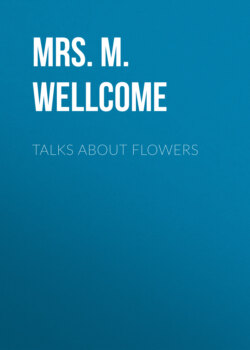 Talks About Flowers