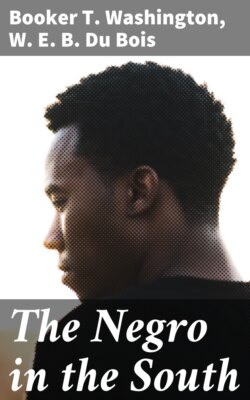 The Negro in the South