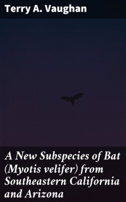 A New Subspecies of Bat (Myotis velifer) from Southeastern California and Arizona