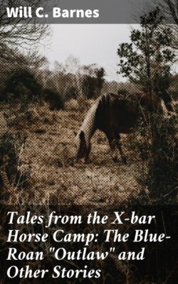 Tales from the X-bar Horse Camp: The Blue-Roan 