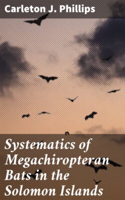 Systematics of Megachiropteran Bats in the Solomon Islands