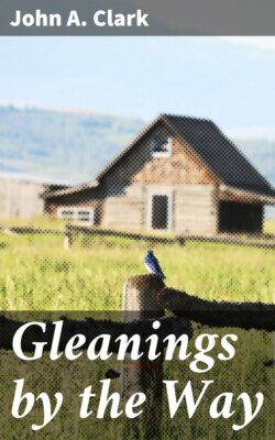 Gleanings by the Way