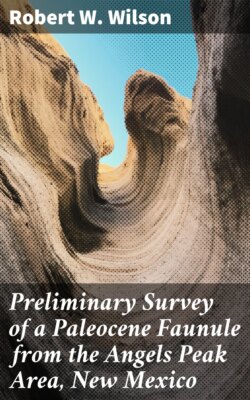 Preliminary Survey of a Paleocene Faunule from the Angels Peak Area, New Mexico