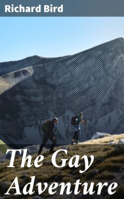 The Gay Adventure