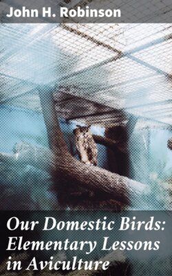Our Domestic Birds: Elementary Lessons in Aviculture
