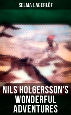 Nils Holgersson's Wonderful Adventures