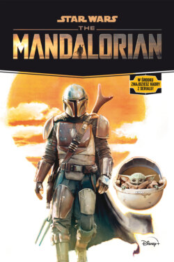 Star Wars The Mandalorian