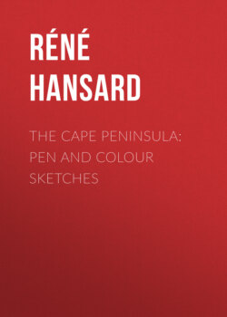 The Cape Peninsula: Pen and Colour Sketches