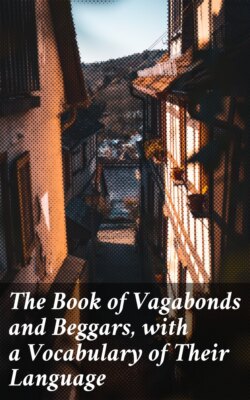 The Book of Vagabonds and Beggars, with a Vocabulary of Their Language