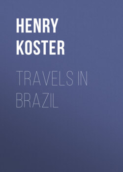 Travels in Brazil