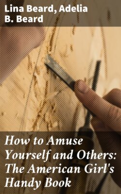 How to Amuse Yourself and Others: The American Girl's Handy Book