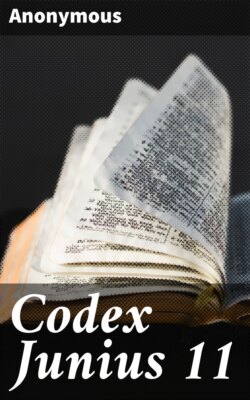 Codex Junius 11