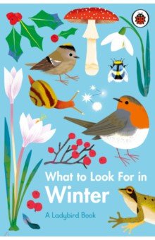 What to Look For in Winter