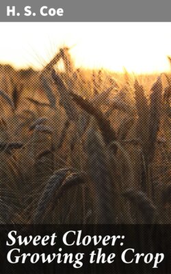 Sweet Clover: Growing the Crop