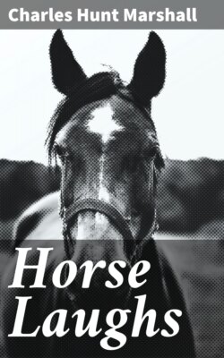 Horse Laughs